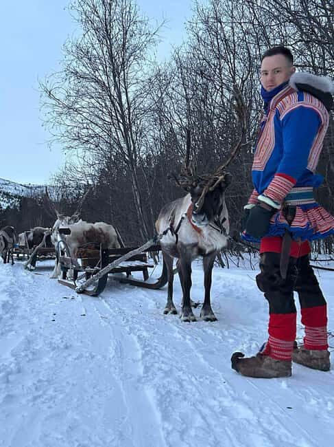 Alta: Reindeer Ride - The reindeer sled ride: silence, speed, and the hooves