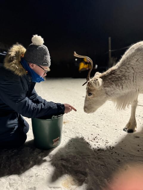 Alta: Sami Cultural Experience with Lavvu and Reindeers - Reindeer feeding: a memorable moment, with real-life responsibility