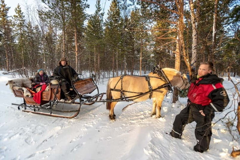 Alta: Sleigh Ride in the Arctic Countryside - Taking Off Through Forest and Along the Alta River