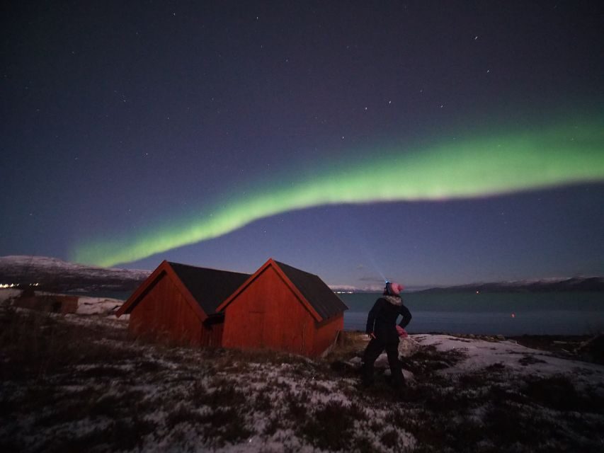 Alta: Small-Group Guided Northern Lights Tour - Key things to know before you go