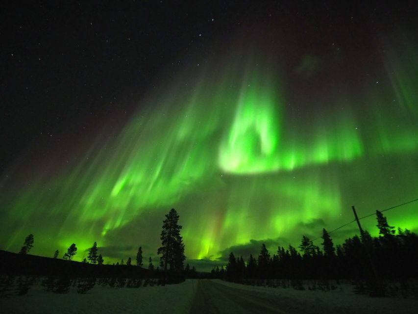 Alta: Small-Group Guided Northern Lights Tour - Alta Fjord in the dark: how the 4-hour aurora hunt really runs