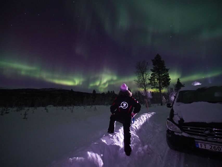 Alta: Small-Group Guided Northern Lights Tour - The stories behind the sky: Sami culture, Stone Age Alta, and WWII in Finnmark
