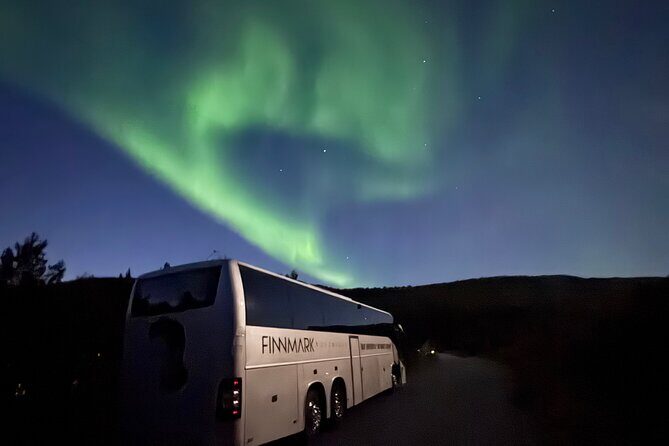 Alta: The Northern Lights Bus – a comfortable Arctic journey - Alta at Night: What This 3-Hour Northern Lights Hunt Feels Like