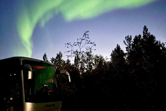 Alta: The Northern Lights Bus – a comfortable Arctic journey - City-Sentrum Driving: Why a Turn Around Town Helps Your Aurora Odds