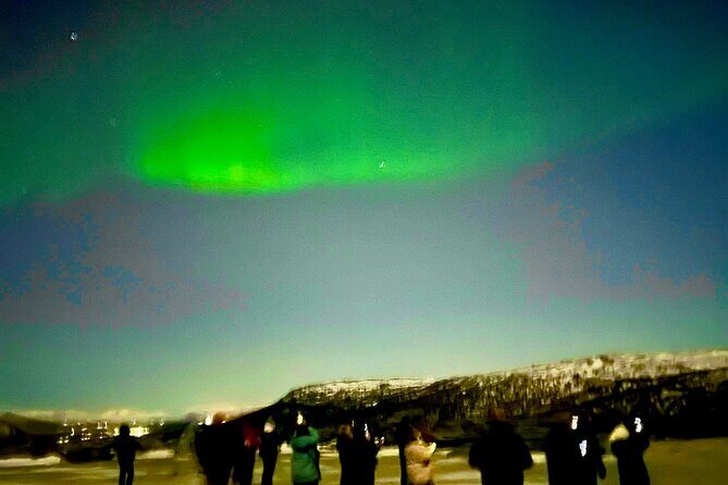 Alta: The Northern Lights Bus – a comfortable Arctic journey - Aurora Hunting Reality: Cloudy Nights, Fast Stops, and Photo Time