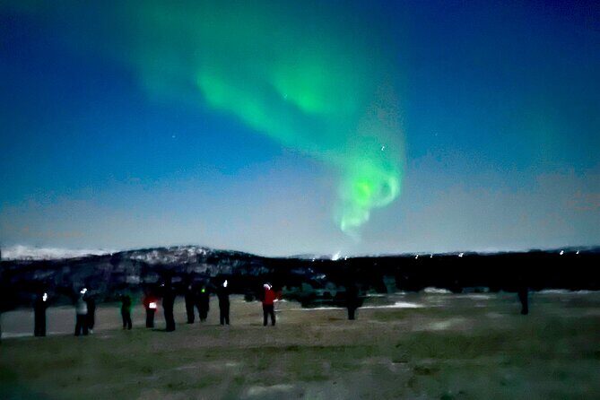 Alta: The Northern Lights Bus – a comfortable Arctic journey - What’s Not Included (and What That Means for Your Night)