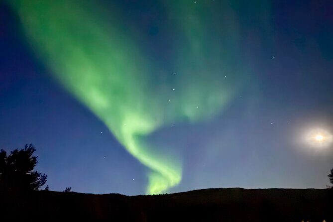 Alta: The Northern Lights Bus – a comfortable Arctic journey - The Comfort Advantage: Air-Conditioned Bus, Pickup, and Small-Group Options