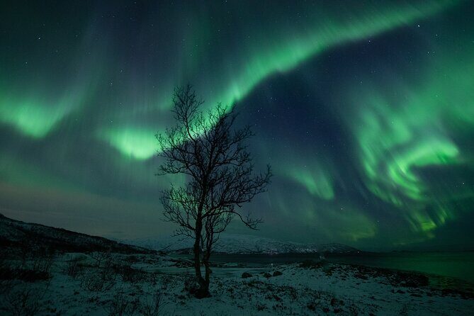 An All-Inclusive Tour - Aurora & Arctic Experience - Thermal suits and winter gear: what’s included, and what you must bring