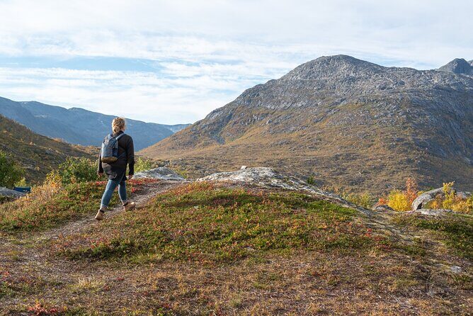 Arctic Fjord Roadtrip with Scenic Picnic from Tromso - Getting moving: Tromsø pickup and the “you’re out fast” factor