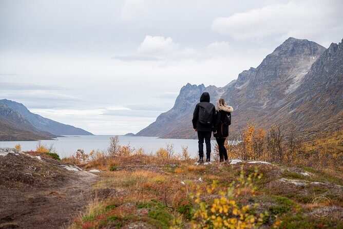 Arctic Fjord Roadtrip with Scenic Picnic from Tromso - Your day on the road: how the route keeps it interesting