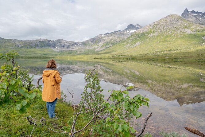 Arctic Fjord Roadtrip with Scenic Picnic from Tromso - The scenic picnic: what’s included and how it plays in the real world