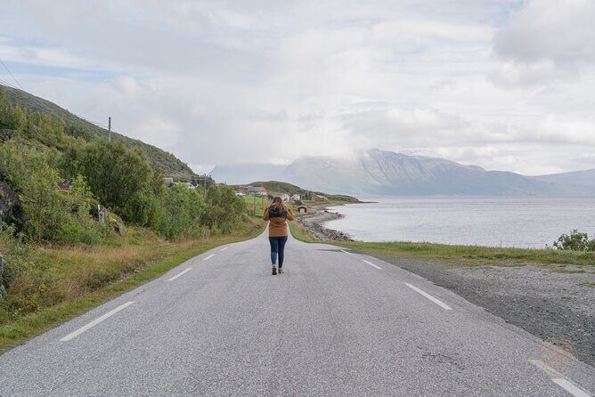Arctic Fjord Roadtrip with Scenic Picnic from Tromso - Guides, drivers, and the photo advantage