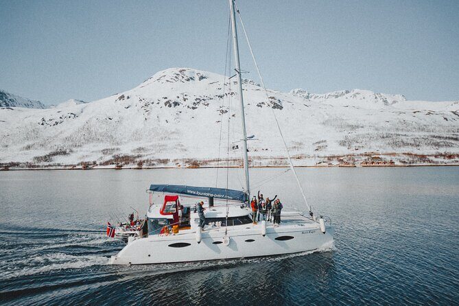 Arctic Fjordcruise & Safari in Tromso with Luxury Catamaran - A luxury catamaran that makes Tromsø fjords feel personal