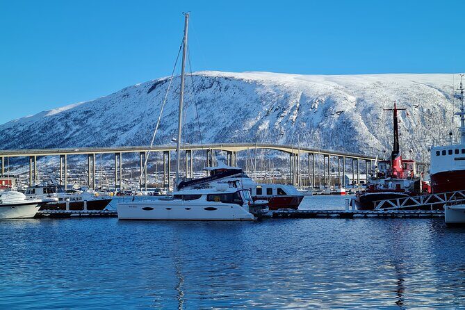 Arctic Fjordcruise & Safari in Tromso with Luxury Catamaran - Who should book this fjord cruise (and who should think twice)