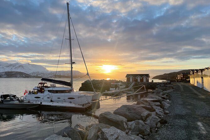 Arctic Fjordcruise & Safari in Tromso with Luxury Catamaran - The 3-hour flow: Tromsø fjords, Rya wildlife waters, and Fjellheisen views