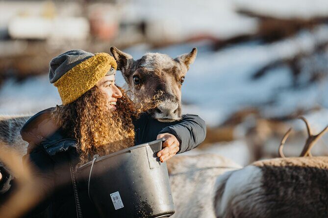 Arctic Fjords and Reindeer Experience – Small group tour - A Tromsø day trip that balances big views and real culture