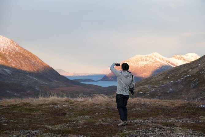 Arctic Fjords Road Trip - Stop 1: Kvaløya viewpoints and why Whale Island matters