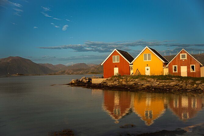 Arctic Fjords Sightseeing Adventure with Arctic Navigator - Key highlights worth noting