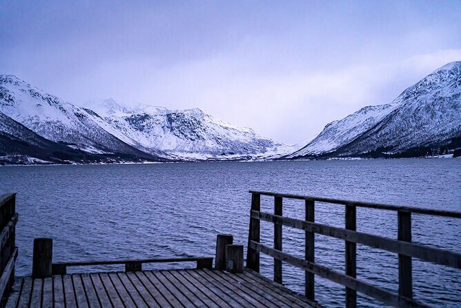 Arctic Fjords Sightseeing Adventure with Arctic Navigator - A Tromsø fjord day that feels small, not scripted