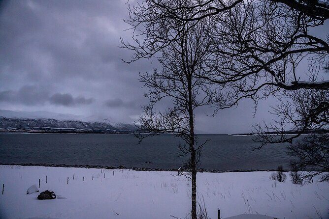 Arctic Fjords Sightseeing Adventure with Arctic Navigator - Ersfjordbotn: the quick photo stop with payoff