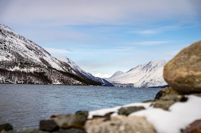 Arctic Fjords Sightseeing Adventure with Arctic Navigator - Price and value: what $139.93 buys you in Tromsø
