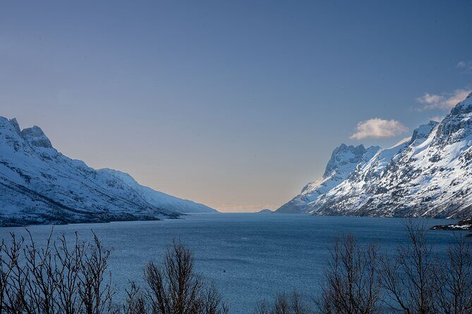 Arctic Fjords Sightseeing Adventure with Arctic Navigator - Who should book this Arctic Fjords adventure