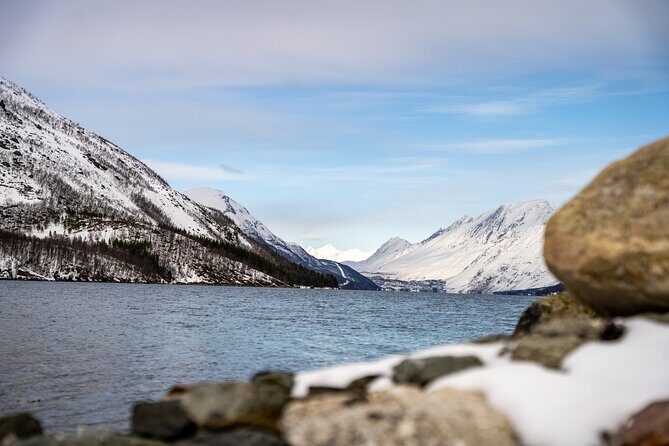 Arctic Fjords Sightseeing Adventure with Arctic Navigator - FAQ