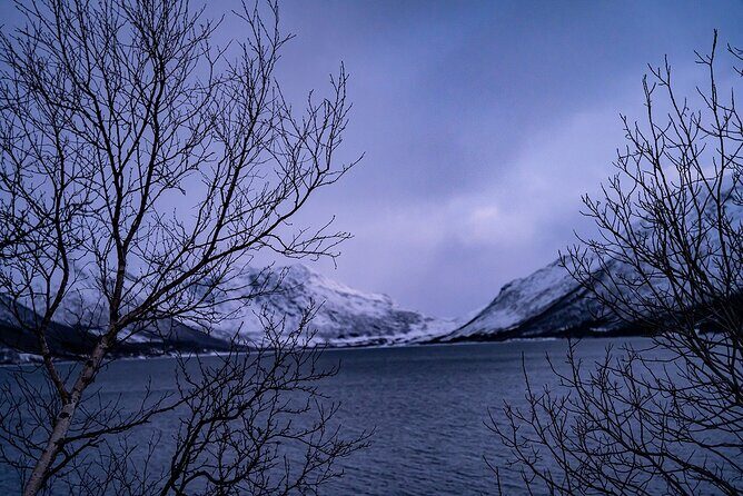 Arctic Fjords Sightseeing Adventure with Arctic Navigator - Sommarøy and its Arctic Caribbean vibe