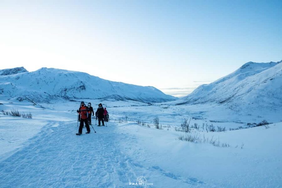 Arctic hike on Kvaløya Island with drinks and snacks - From Tromsø to Kvaløya: why the minivan matters