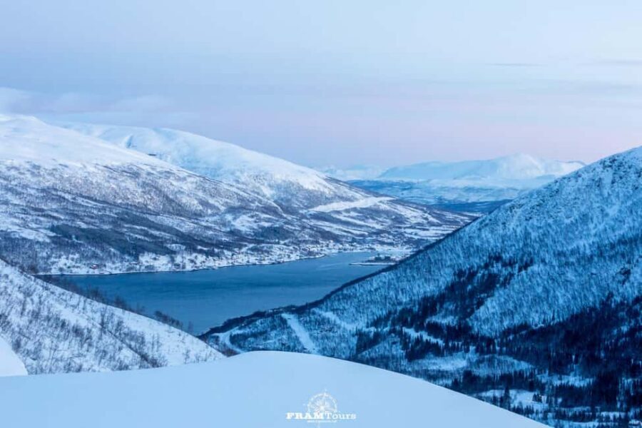 Arctic hike on Kvaløya Island with drinks and snacks - Viewpoints and Arctic wildlife: what to watch for