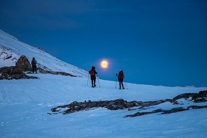 Arctic Landscapes Hiking, Sightseeing & Snowshoeing Private Tour - Weather-First Fjord Drive: getting farther from Tromsø