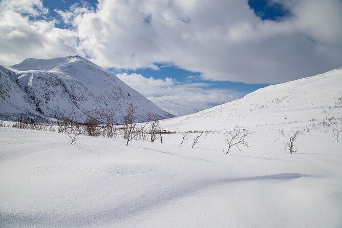 Arctic Landscapes Hiking, Sightseeing & Snowshoeing Private Tour - Should you book this Arctic fjords hiking and snowshoeing tour?