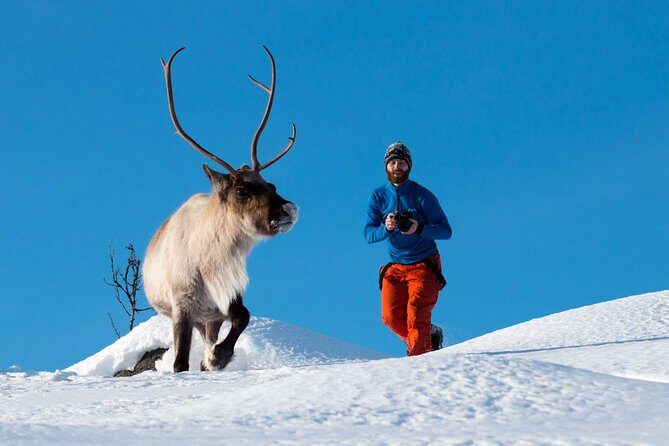 Arctic Nature Photography Sightseeing Tour from Tromso - Tromsø by Kvaløya: A Photography-First Winter Drive