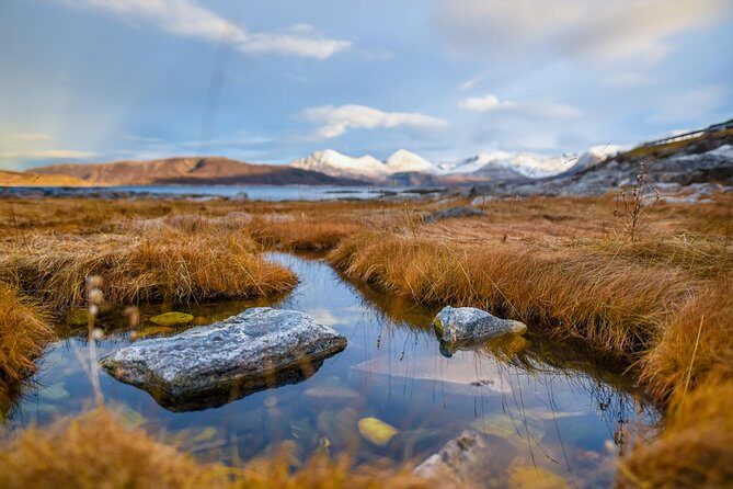 Arctic Nature Tour from Tromsø by minibus - Wildlife Odds: Reindeer, Seals, Eagles, Moose, and the Reality Check