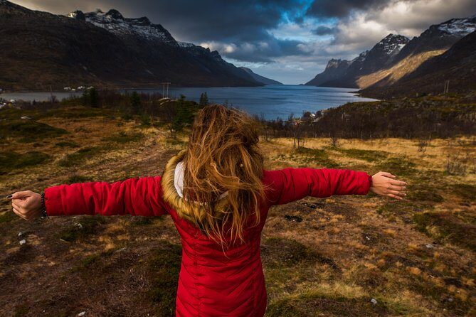 Arctic Nature Tour from Tromsø by minibus - Price and Value: What $156.55 Buys You in the Arctic