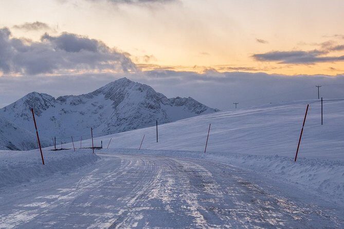 Arctic Nature Tour from Tromsø by minibus - Weather Reality: Why Clear Skies Change Everything