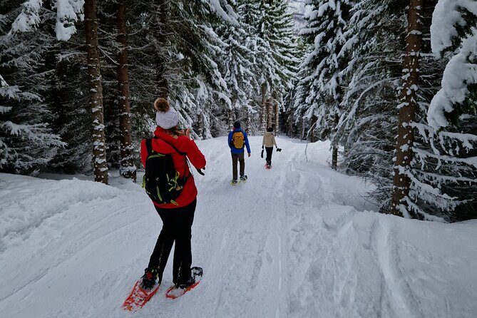 Arctic Snowshoe Hike in Norway - What to wear: layers and dry winter shoes matter more than you think