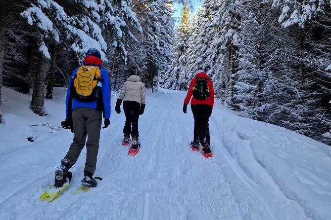 Arctic Snowshoe Hike in Norway - Wildlife chances in the Arctic: reindeer, foxes, and seabirds