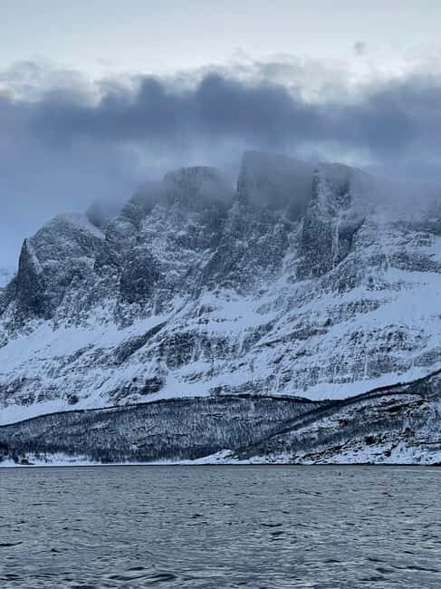 Arctic Whale Watching: Tromsø to Skjervøy in Comfort - Who this tour suits best (and who should skip)