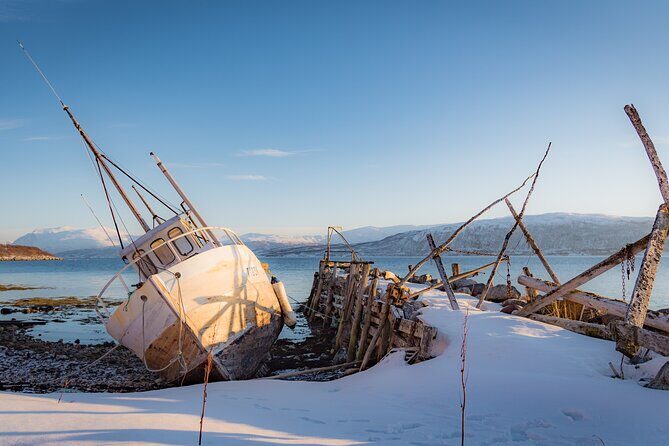 Arctic Wildlife and Fjord Sightseeing - Entering the Kvaløya coast: why this route feels different