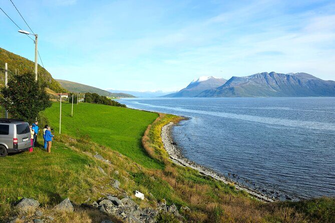 Arctic Wildlife and Fjord Sightseeing - Wildlife chances: what to expect and how to think about odds