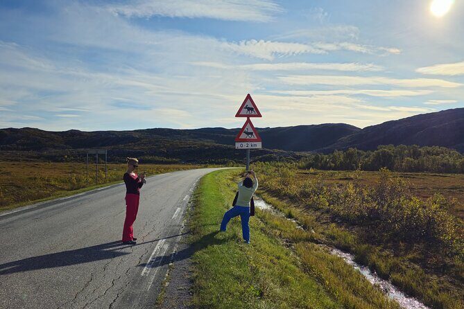 Arctic Wildlife and Fjord Sightseeing - Is $226.16 good value for a half-day safari?