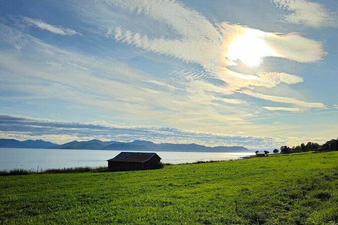 Arctic Wildlife and Fjord Sightseeing - Should you book this Tromsø Kvaløya and Sommarøy tour?