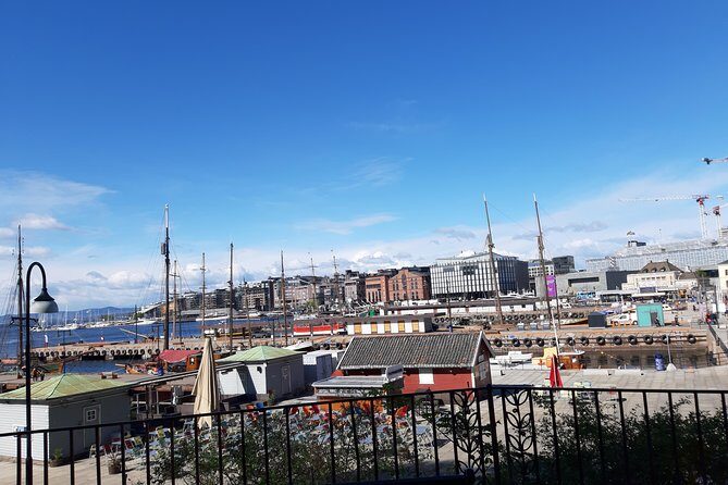Art and Museum Tour of Oslo - The guide experience: energy, pacing, and careful meeting points
