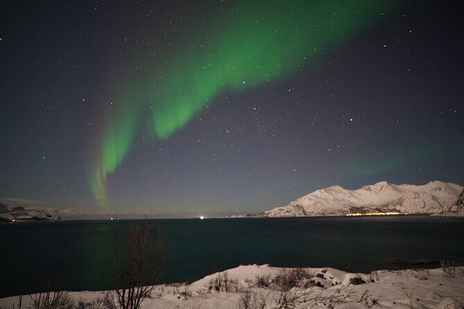 AURORA DAİLY Northern Lights Safari Tour 8 Guests with PİCKUP - Key Highlights You’ll Feel Right Away
