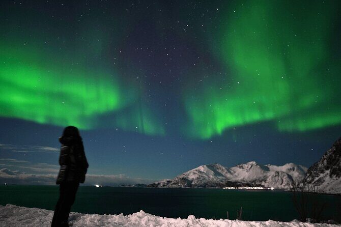 AURORA DAİLY Northern Lights Safari Tour 8 Guests with PİCKUP - The Chase Plan: Forecast-Driven Driving and a Finland Detour