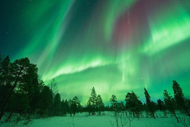 Aurora Hunt with the campfire and professional photographer - Toilets in the wilderness: plan ahead or you’ll regret it