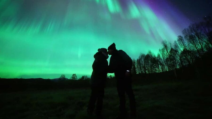 Aurora Optimum: Best 3-Night Forecast - A 3-Night Forecast System That Cuts Down the Guesswork