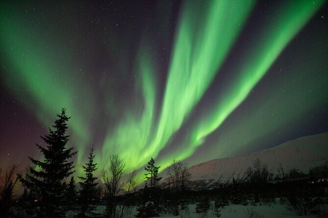 Aurora Safari Chase by big bus, free Photos, toilet onboard - Lavvo vs Campfire: Warmth, Snacking, and a Little Sami Atmosphere
