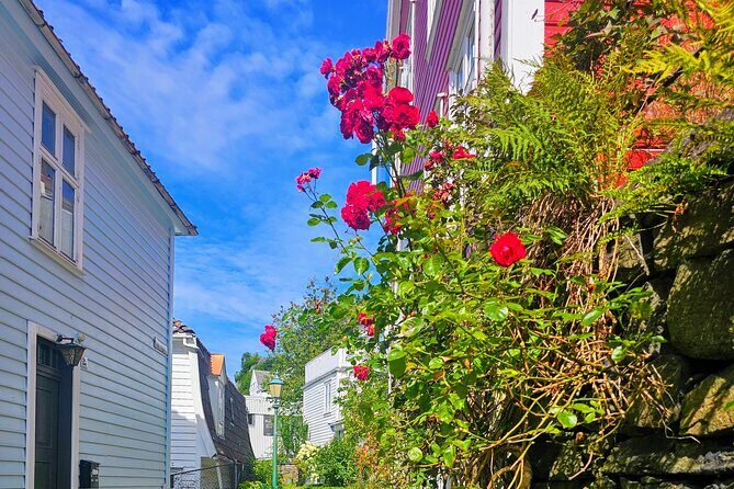 Authentic Bergen Interactive Private Walking Tour - Who this tour suits best (and who may want something different)